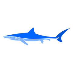 Blue shark