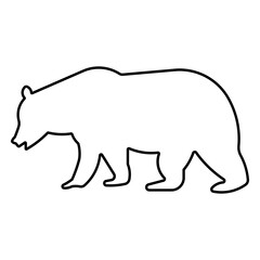 blue whale