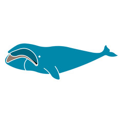 Bowhead whale
