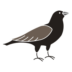 crow