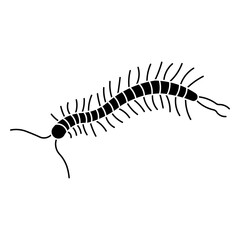 Centipede