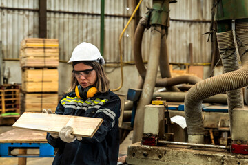 Young wood factory woman worker working in wood factory