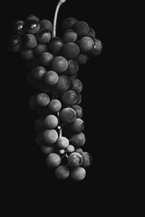 bunch of grapes