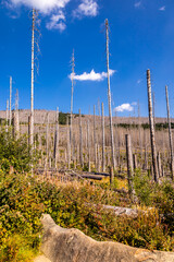 Obraz premium Spätsommerwanderung durch den Nationalpark Harz rund um Schierke - Sachsen-Anhalt - Deutschland