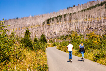 Spätsommerwanderung durch den Nationalpark Harz rund um Schierke - Sachsen-Anhalt - Deutschland