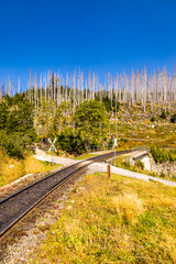 Spätsommerwanderung durch den Nationalpark Harz rund um Schierke - Sachsen-Anhalt - Deutschland