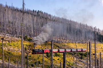 Spätsommerwanderung durch den Nationalpark Harz rund um Schierke - Sachsen-Anhalt - Deutschland