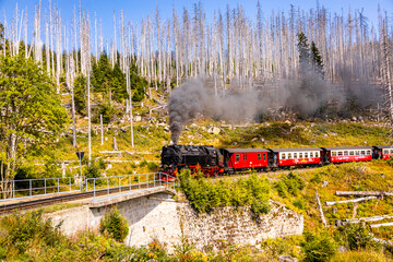 Spätsommerwanderung durch den Nationalpark Harz rund um Schierke - Sachsen-Anhalt - Deutschland