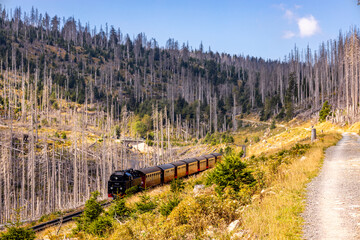 Spätsommerwanderung durch den Nationalpark Harz rund um Schierke - Sachsen-Anhalt - Deutschland