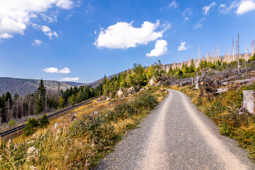Fototapeta premium Spätsommerwanderung durch den Nationalpark Harz rund um Schierke - Sachsen-Anhalt - Deutschland