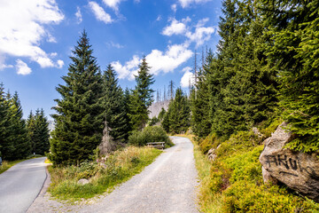 Spätsommerwanderung durch den Nationalpark Harz rund um Schierke - Sachsen-Anhalt - Deutschland