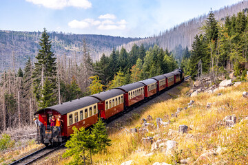 Spätsommerwanderung durch den Nationalpark Harz rund um Schierke - Sachsen-Anhalt - Deutschland