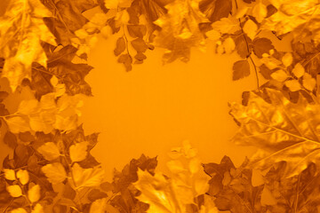 Naklejka na ściany i meble Golden Autumn Leaves Background with space