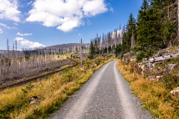 Spätsommerwanderung durch den Nationalpark Harz rund um Schierke - Sachsen-Anhalt - Deutschland