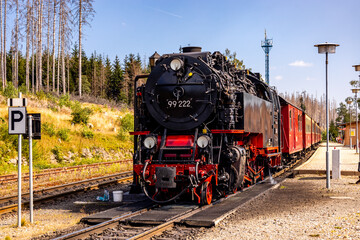 Fototapeta premium Spätsommerwanderung durch den Nationalpark Harz rund um Schierke - Sachsen-Anhalt - Deutschland