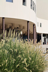 Blick auf das Schauspielhaus 