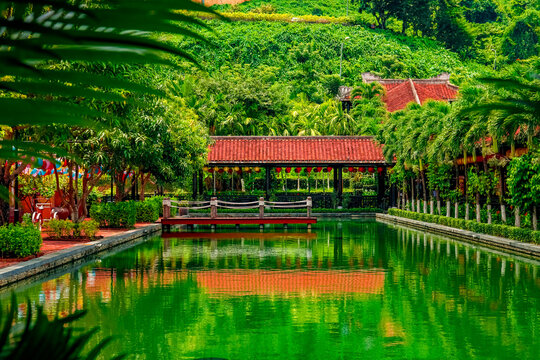 japanese garden in the city