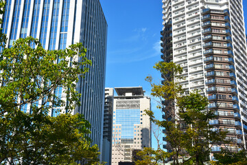 都会の高層タワービルとマンション　晴れた日の澄んだ青空と緑の木々が美しい