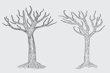 Hand drawn winter Bare Tree Sketch vector, bare Trees Leafless dead old dry No leaves pencil sketch illustration, Winter Naked Branch without leave Dead tree drawing Coloring Page nature forest icon

