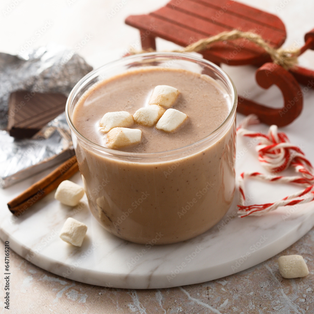 Poster homemade hot chocolate with marshmallow