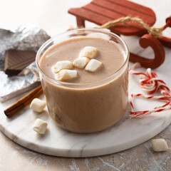 Homemade hot chocolate with marshmallow