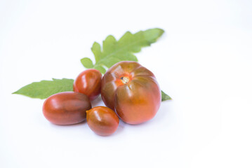 Fresh tomatoes of different varieties with bush leaves. Organic fruits on white background