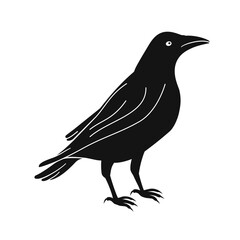 Obraz premium Black Raven Silhouette, vector illustration