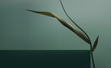 Abstract 3D Vector minimal scene for mockup product display. Cosmetic product background for sale event concept. Stage showcase with green leaves on green display studio background. Vector EPS10