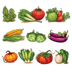 Set of Vegetable