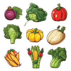 Set of Vegetable