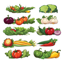 Set of Vegetable