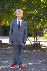 Happy schoolboy in plaid suit