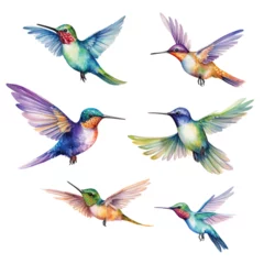 Fotobehang Kolibrie Set of Hummingbird