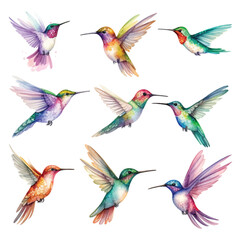 Obraz premium Set of Hummingbird