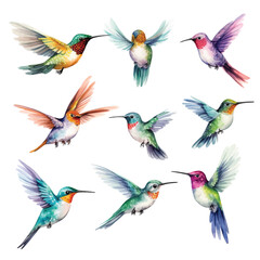 Set of Hummingbird © Phary