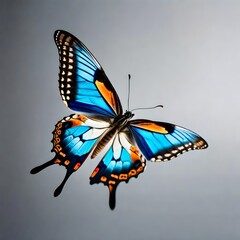beautiful butterfly illustration, generetive AI
