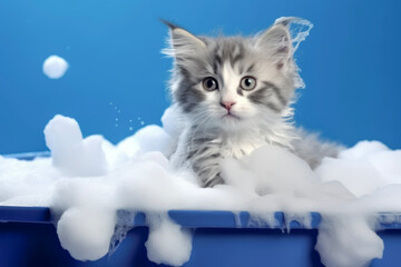 Cute kitten takes a bath and plays with a fluffy bubble of shampoo in bathroom and blue background. Pets and animals clean concepts.