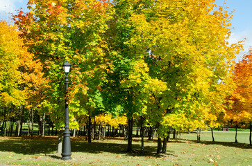 City autumn park with green, yellow, orange trees