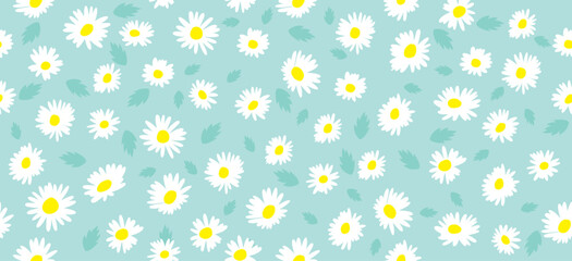 Daisy flower pattern. Beautiful White flower background. floral blossom daisy. Spring white flower design vector. Daisy's on a light blue background. Vector design for fabric, wrap paper,  print card.
