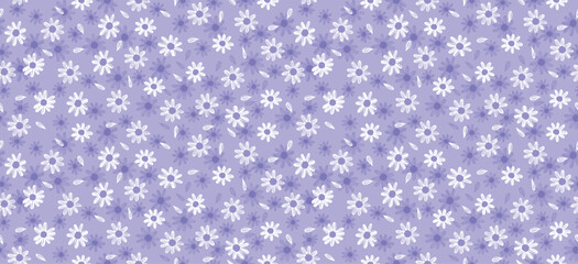 Daisy flower pattern. Beautiful White flower background. floral blossom daisy. Spring white flower design vector. Daisy's on a purple background. Vector design for fabric, wrap paper,  print card.