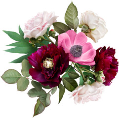 Pink roses, anemone  and maroon peony isolated on a transparent background. Png file.  Floral...