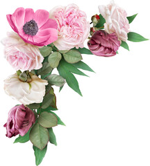 Pink roses, tulip  and maroon tulips isolated on a transparent background. Png file.  Floral arrangement, bouquet of garden flowers. Can be used for invitations, greeting, wedding card.