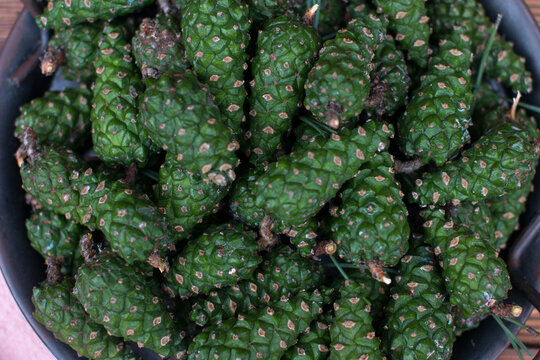 green pine cones on a plate. Table setting
