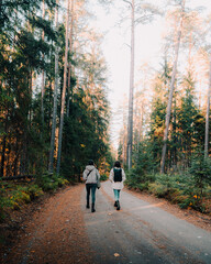 Autumn walk in the woods