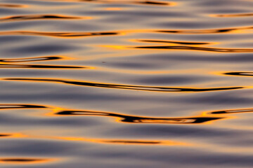 sunset in the water