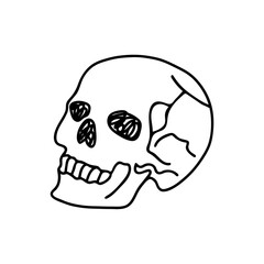 Skull doodle. Hand-drawn skeleton head. Pencil, pen or marker outline sketch (Full Vector)