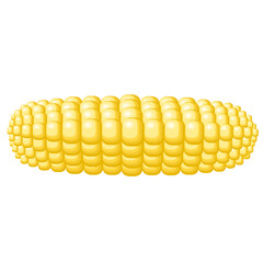 sweet corn vegetable cartoon style