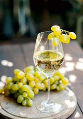 glass with white wine on a wooden barrel in the vineyard.