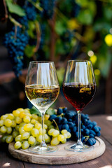 Two glasses with white and red wine on a wooden barrel in the vineyard.