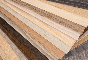 Palette of wood decor samples with different colours and textures. Sample of wood chipboard. Wooden...